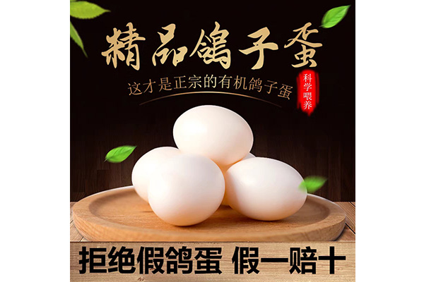 雷競技app下載 - 鮮鴿蛋
