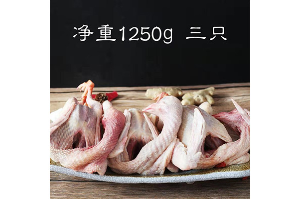 冰鮮雷競技app下載 - 老鴿