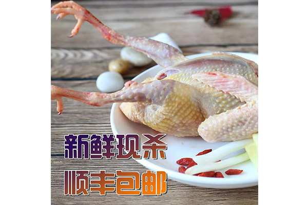 冰鮮雷競技app下載 - 老鴿