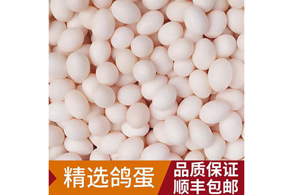雷競技app下載 - 鮮鴿蛋
