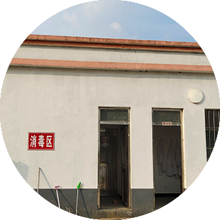 鴿場廠房雷競技app下載- 設計與施工